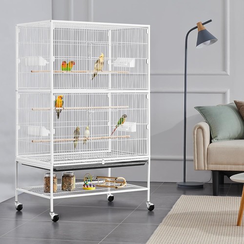 Large bird cage budgie - bird,
