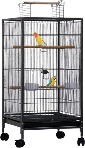 Bird cage parrot - cage,