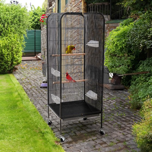 Rolling large bird - rolling,