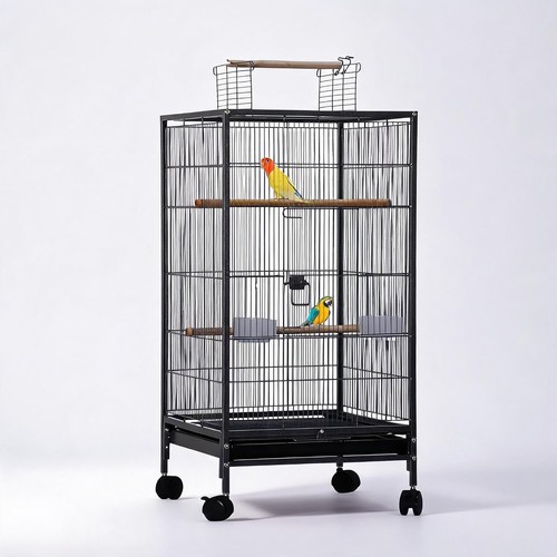 Bird cage with stand open - bird,