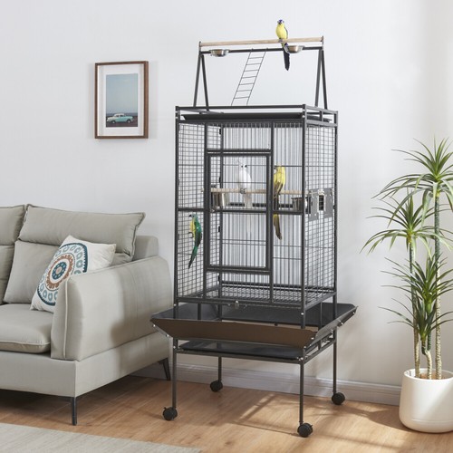 Large bird cage parrot - bird,