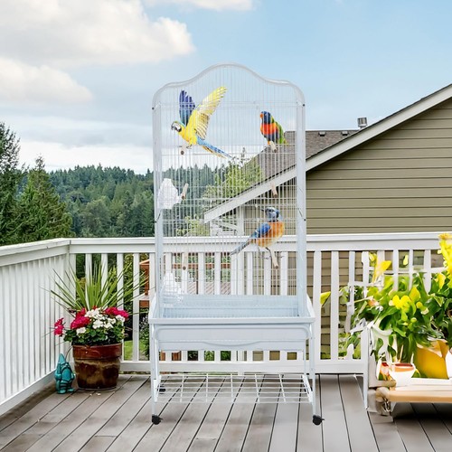 Large parrot bird cage - parrot, budgie
