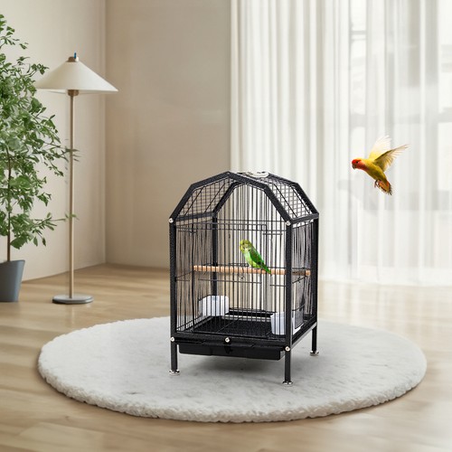 Large metal bird - bird, cage
