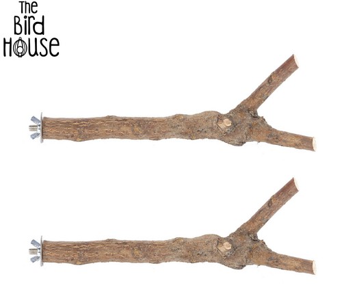 Natural wooden branch - wooden, bird