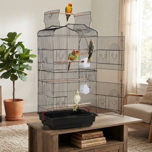 Compact black bird - bird, 4