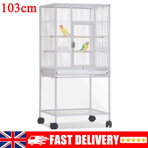 Large bird cages - bird,