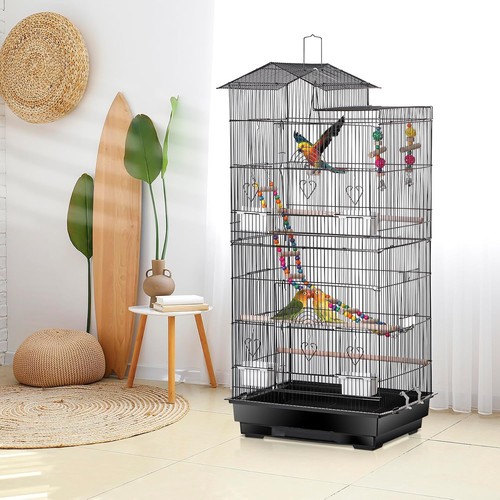 Budgies finches parakeets - budgies,