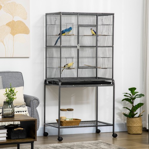 Large bird cage budgie - bird,