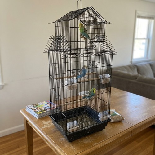 Bird cage budgie large indoor - large,
