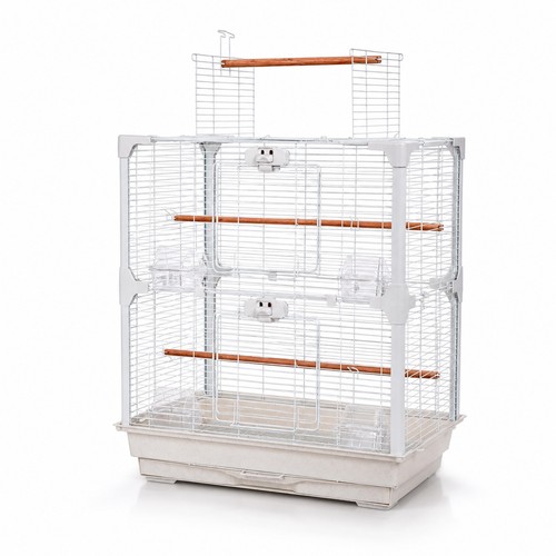 Large white bird cage - bird,