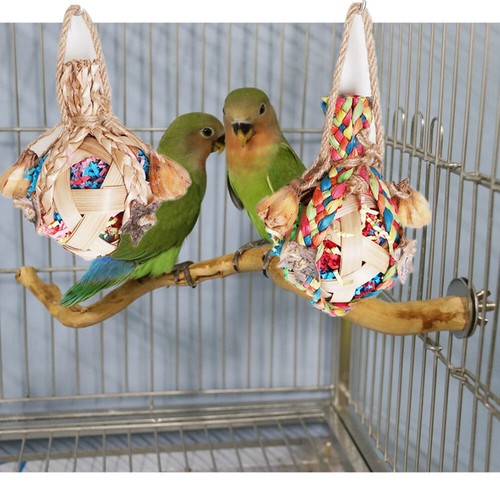 Bird chewing toy chew - toy, ball