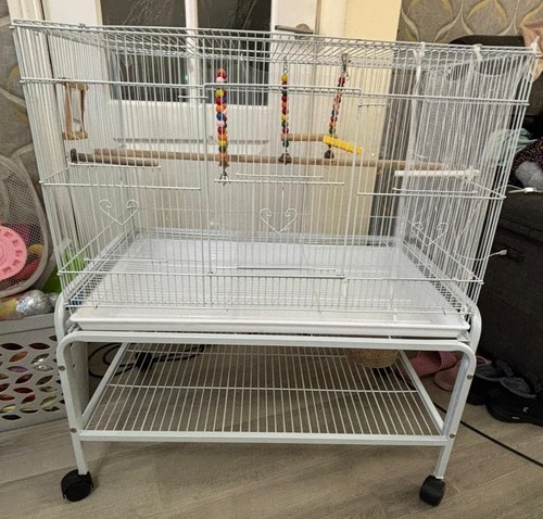 Large budgie bird cage - budgie, with