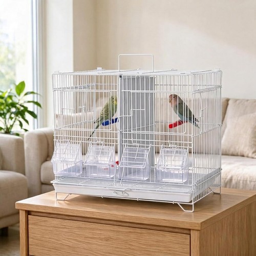 Bird cage budgie with - bird,