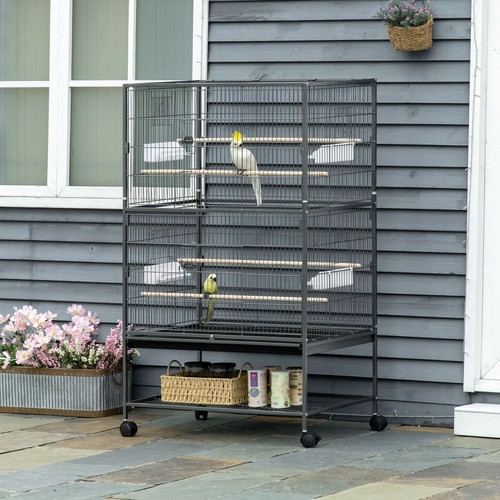 Large bird cage budgie - bird,