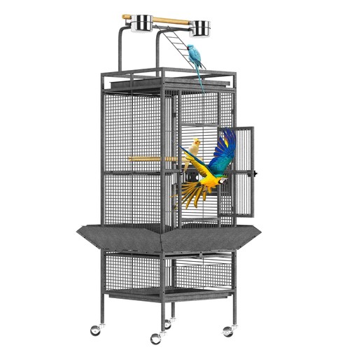 Parrot cage bird - bird, metal