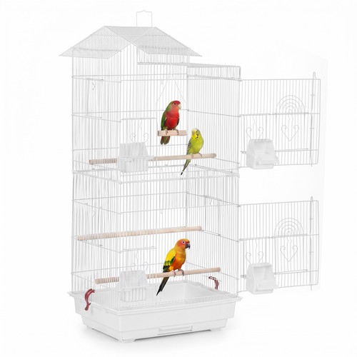 Bird cage for budgie - bird,