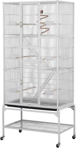 Large african grey parrot - large,