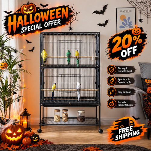 Large bird cage budgie - large,